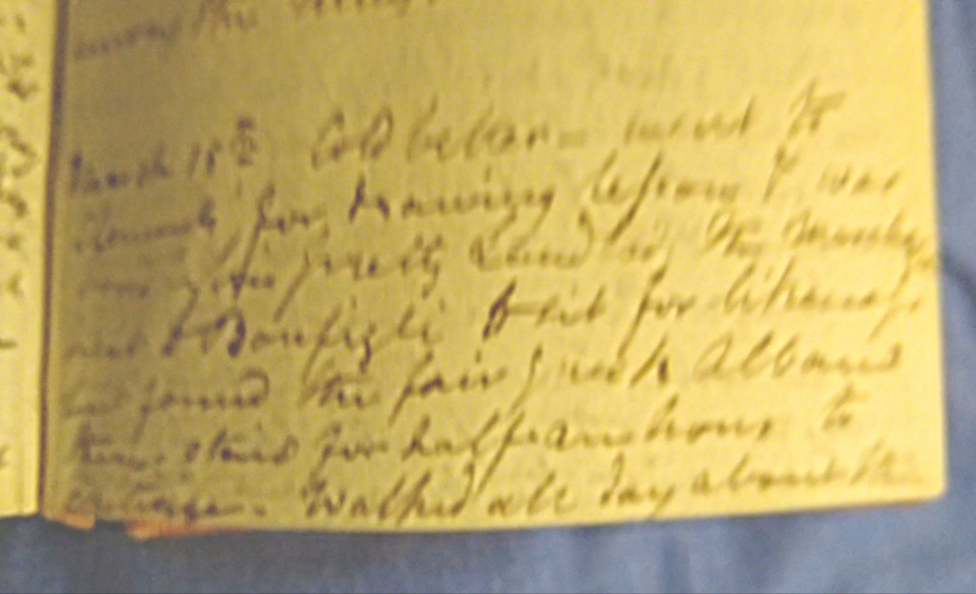 Extract from William's journal